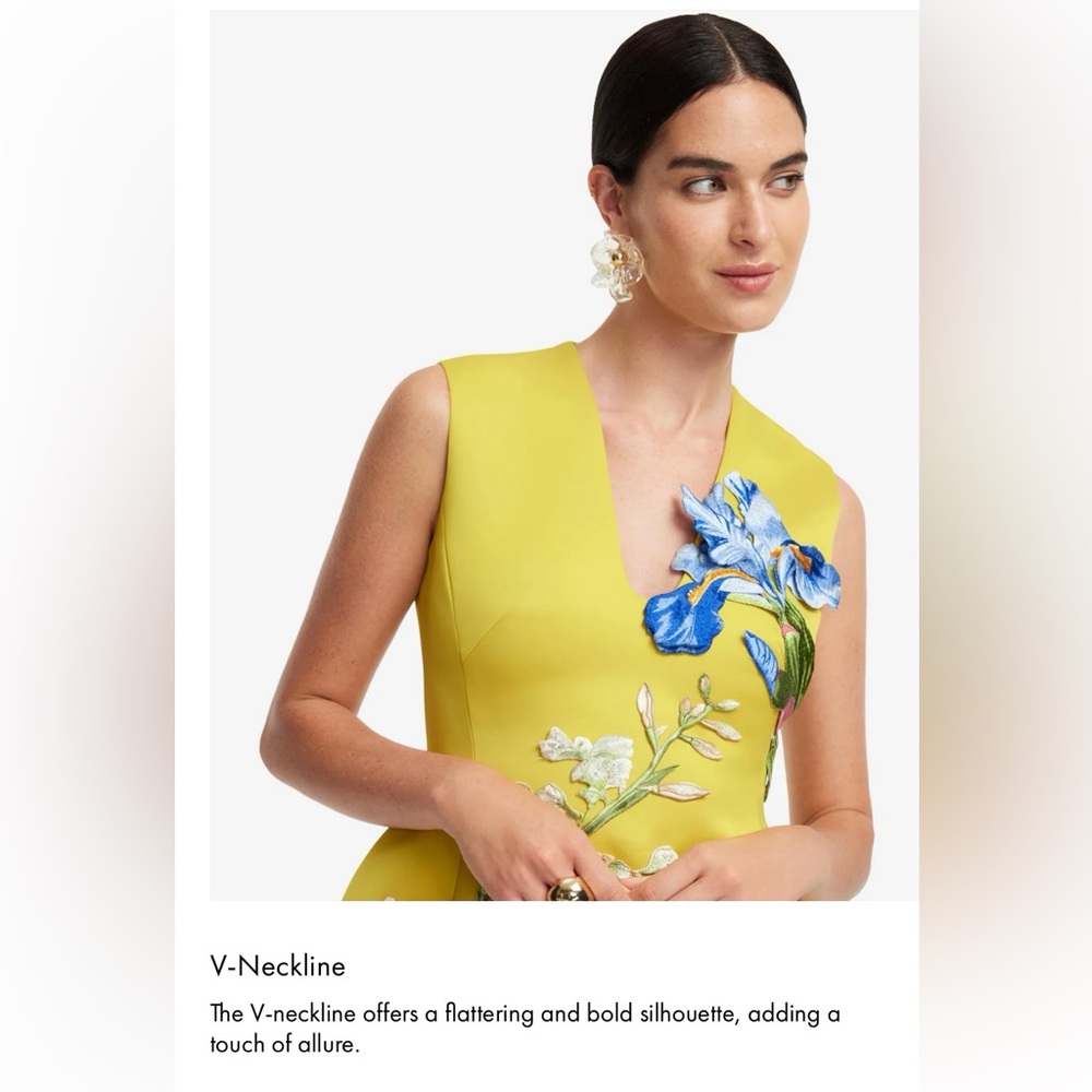 LEO LIN Bree V Neck Embroidery Mini Dress - Picture 7 of 12